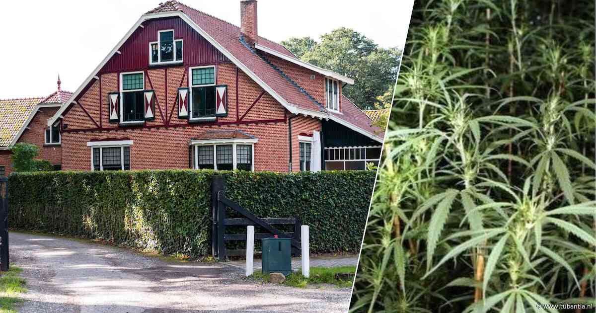 Eigenaar pannenkoekenrestaurant Buurse wist van grote hennepkwekerij, zeggen partners in crime