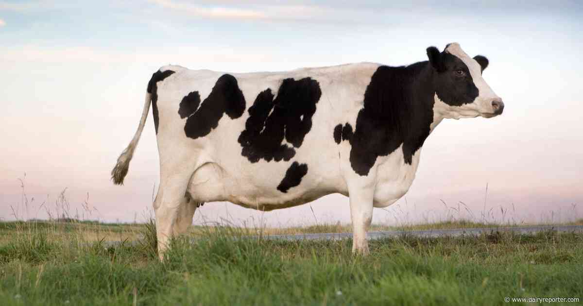 Supply chain pressures are testing dairy’s resilience