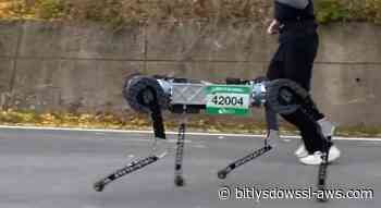 Robot cuadrúpedo corrió un maratón en 4 horas y 19 minutos