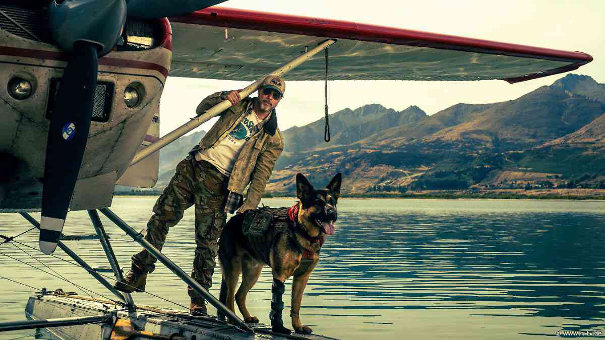 Survival-Drama "Eiserne Wildnis": Brad Pitt ist auf den Hund gekommen