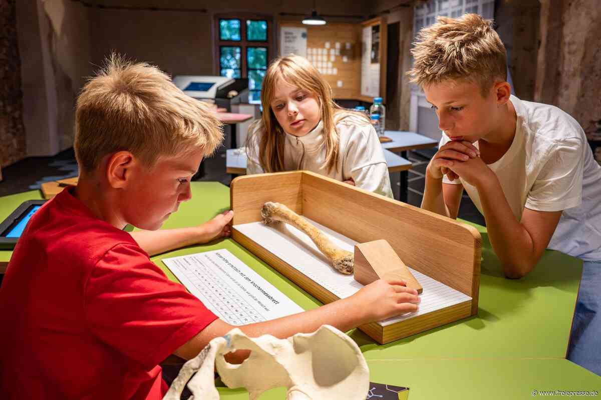 Skelett-Fund in Leisnig: Burg Mildenstein eröffnet das neue Anthro Lab