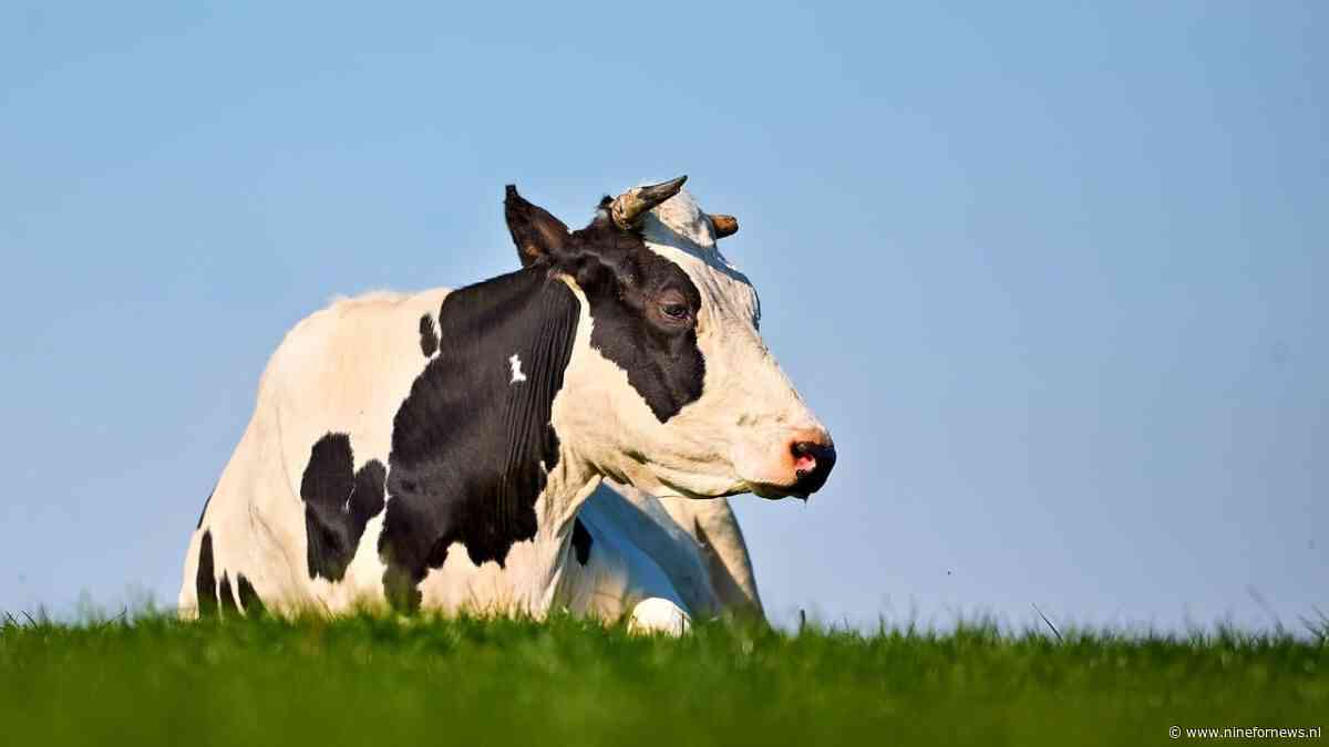 Verborgen beleidsdocument zet Groningse onteigeningszaak op zijn kop: ‘Dit is voor ons echt bizar’