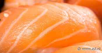 Zalmdief vertelt in de rechtszaal over zijn overleden zus, verslaving en strafblad