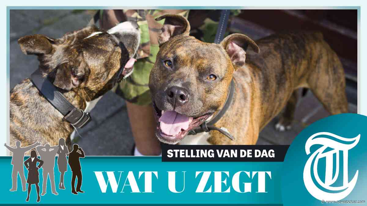 Lezers: ’Snel een verbod op bijthonden zoals pitbulls’