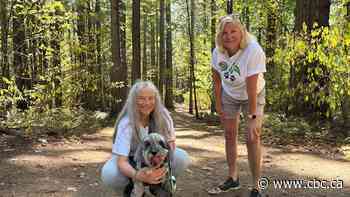 How a war over off-leash dogs could be poised to shake up Saanich municipal elections