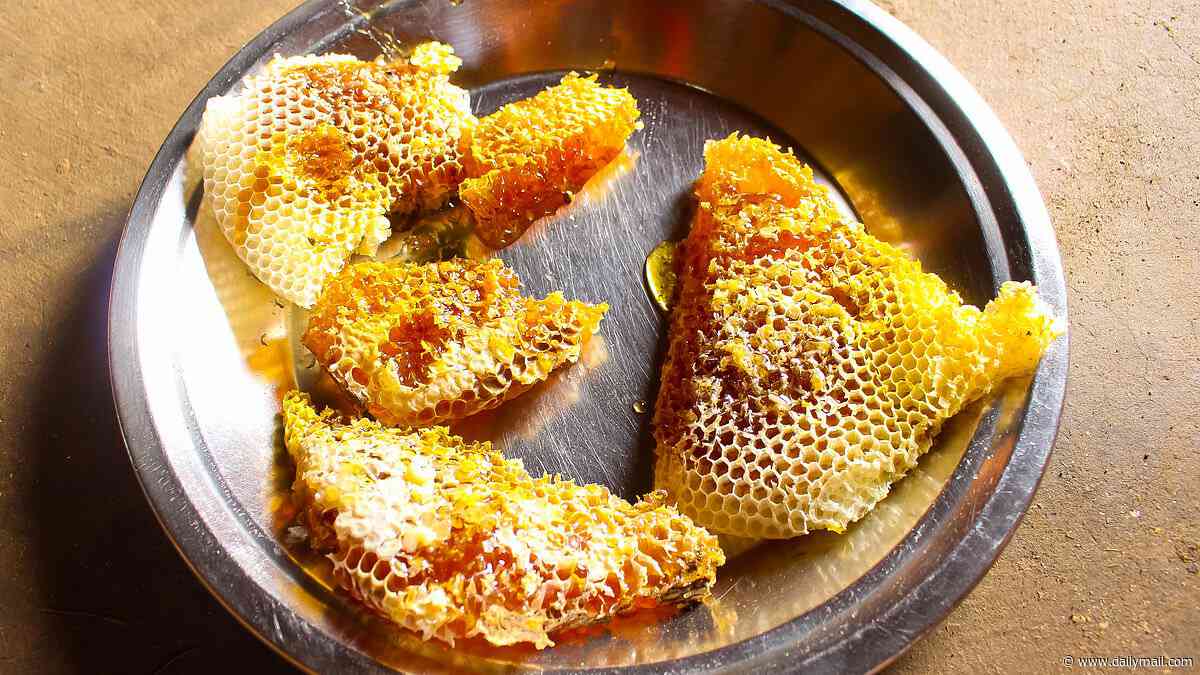 'Mad honey' touted as wellness fix contains toxin that can stop your heart with just a few tablespoons