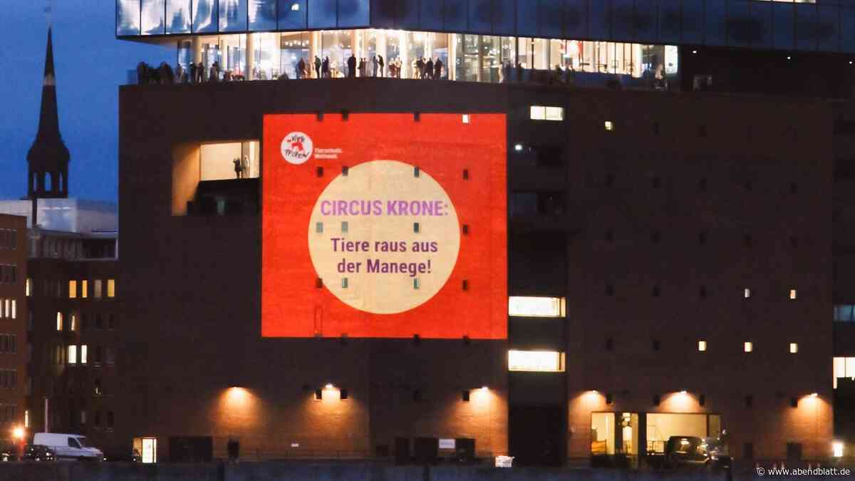 Löwen an der Elbphilharmonie: Das steckt hinter der Aktion