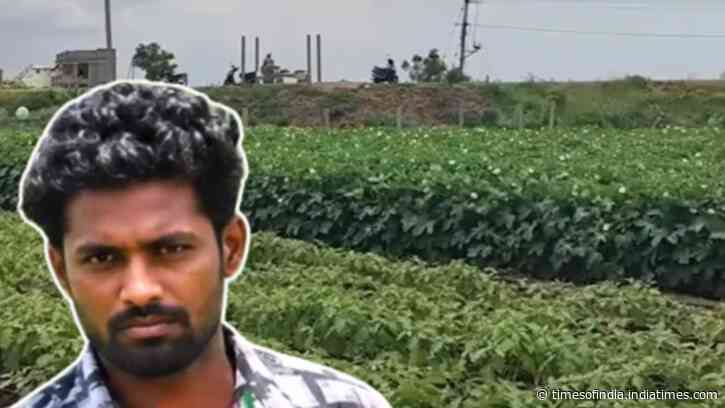 He quit his bank job to return to farming in Andhra Pradesh; now earns Rs 5,000 daily from vegetables