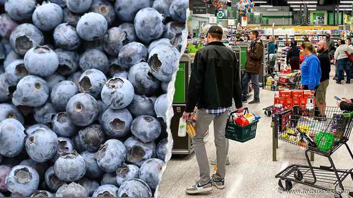 Florida woman died after eating E coli-tainted frozen blueberries from Publix, lawsuit alleges