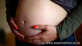 Fertility rates in every council area as Yorkshire city among country's highest