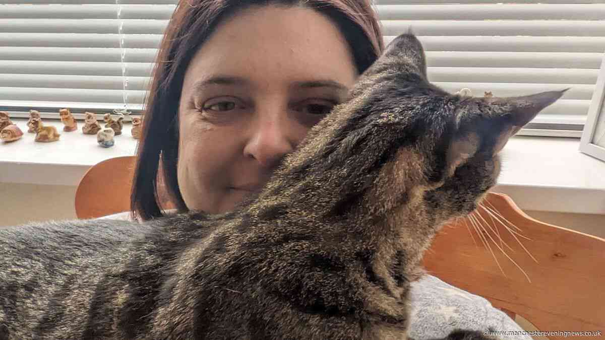 Couple fear pet cat was 'murdered' after grim discovery in letterbox