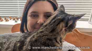 Couple fear pet cat was 'murdered' after grim discovery in letterbox