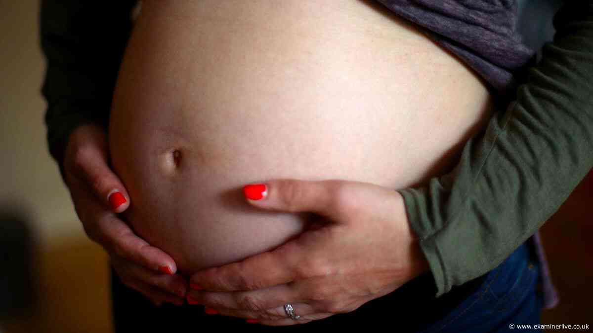 Fertility rates in every council area as Yorkshire city among country's highest