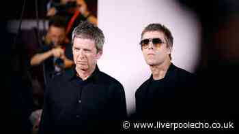 Oasis unique codes live as fans wait to receive emails with 2027 ticket access