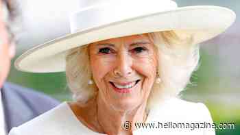 Queen Camilla's strict travel demands — and the surprisingly ordinary items she refuses to pay for