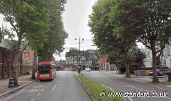 Girl, 16, dies after being hit by car near north London private school