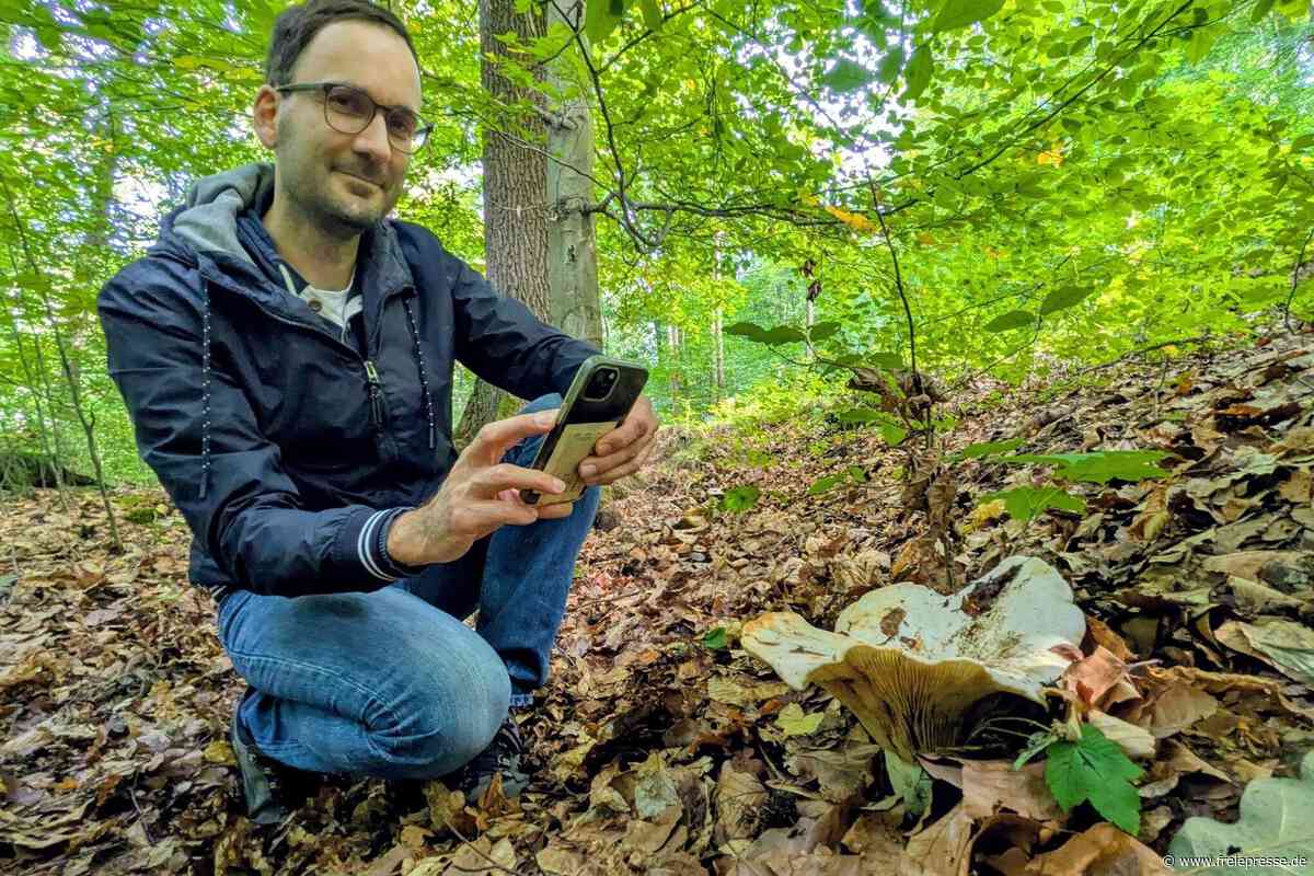 Experte aus dem Erzgebirge lobt Pilzbestimmung per App: Doch darauf sollten Nutzer achten