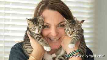 NYC kitten rescue says MAGA voters are BANNED from adopting from them