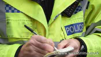 Police officer caught shouting pro-Nazi comments and using racial slurs