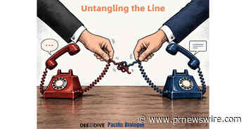 Dialogue over division, cooperation over decoupling in China-U.S. ties