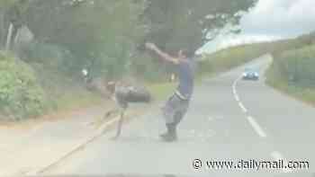 You picked on the wrong bird! Moment man grabs escaped emu and wrestles it to the ground - before the animal breaks free, headbutts him and runs off