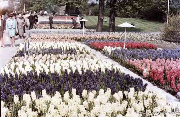 Ein Garten der Moderne mit einer großen Geschichte: Der egapark Erfurt feiert in diesem Jahr sein 65. Jubiläum