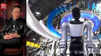 Elon Musk verspricht eine Welt ohne Geld – dank Milliarden humanoider Roboter