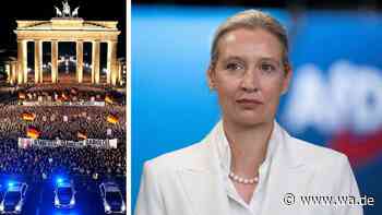 Fake-Demos mit AfD-Bezug: Wie KI-generierte TikTok-Videos gezielt täuschen