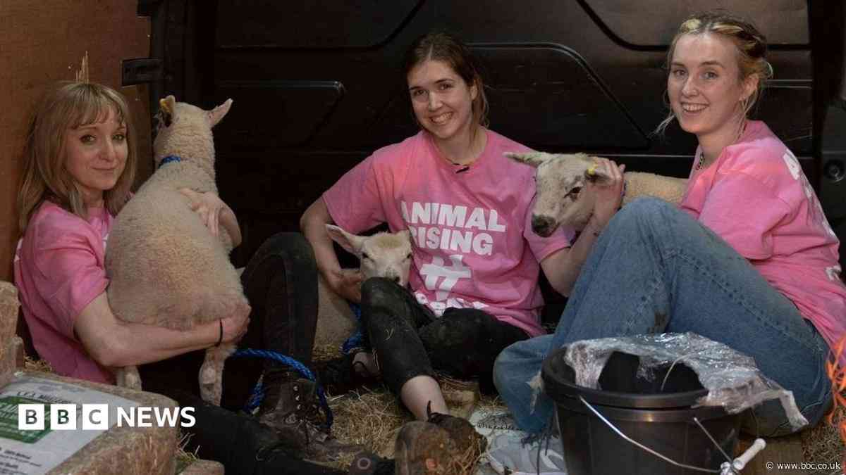 Activists found guilty of theft of King's lambs