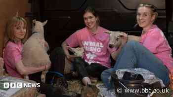 Activists found guilty of theft of King's lambs