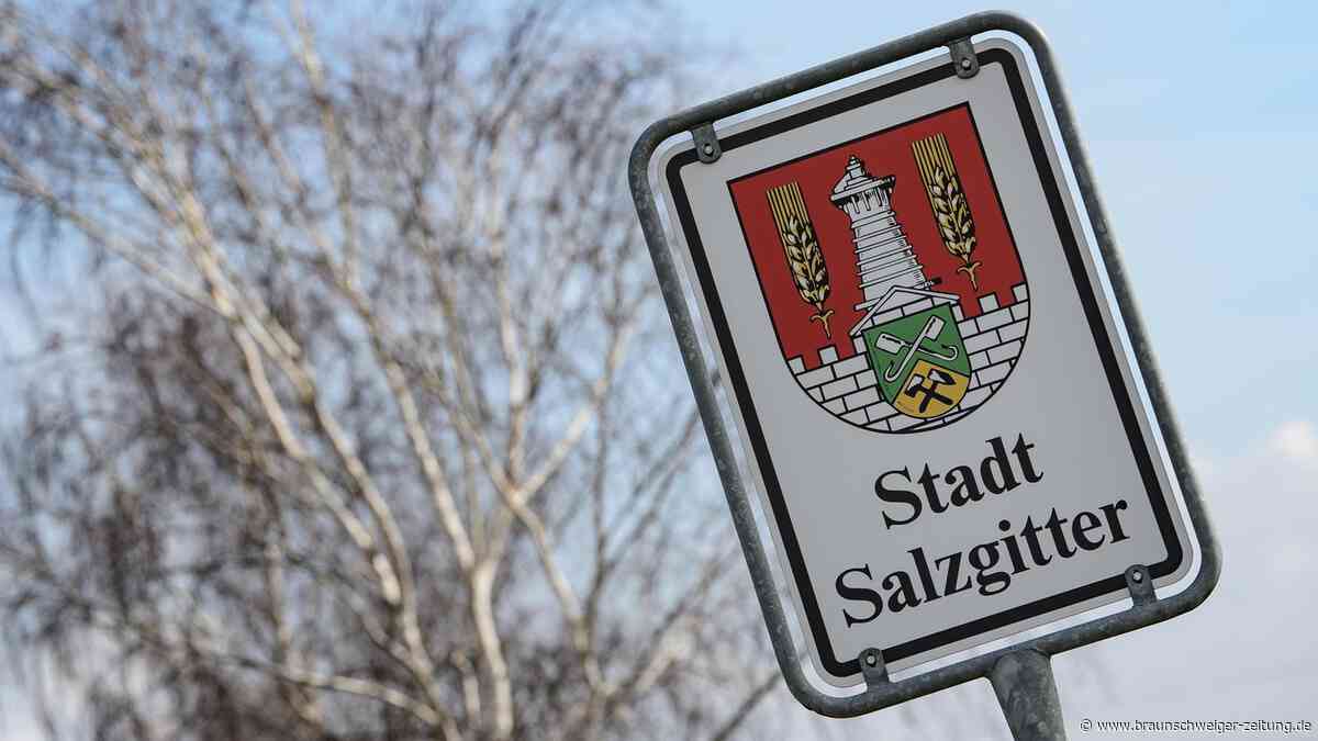 Routinier oder AfD? Vor der Stichwahl schaut ganz Niedersachsen auf Salzgitter