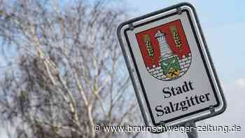 Routinier oder AfD? Vor der Stichwahl schaut ganz Niedersachsen auf Salzgitter