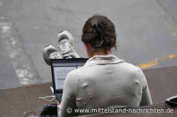 Umfrage: Immer mehr Deutsche zahlen Onlinekäufe in Raten