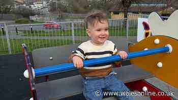 Toddler wandered out of Swansea nursery on his own near busy road