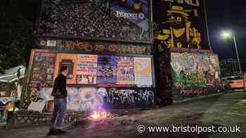 Expert says Turbo Island should not be protected due to drug-taking and bonfires