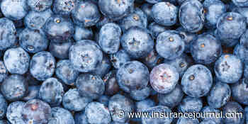 Florida Widower Sues Publix, Says Recalled Blueberries Caused Wife’s Death in June
