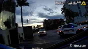 WATCH: Florida deputies find fish in bottle, stolen motorcycle parts during vehicle search