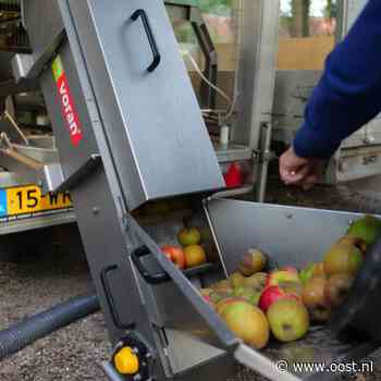 Met aanhangers vol appels naar Mander: fruitpers draait overuren