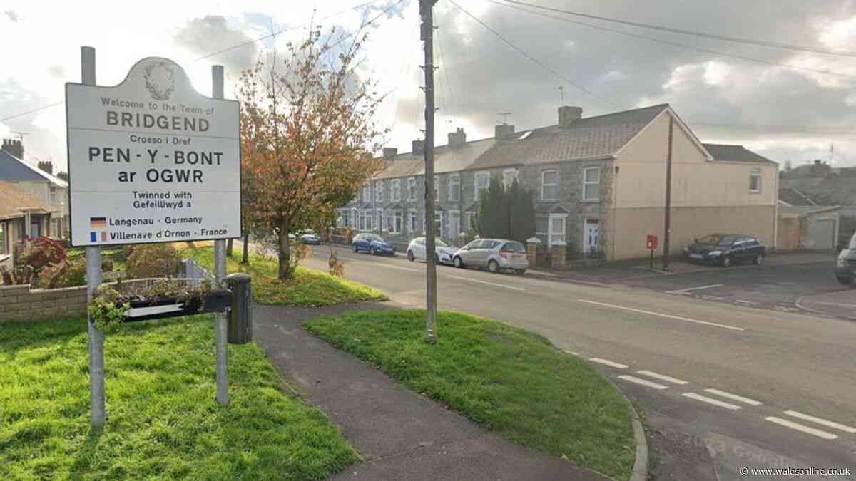 Council approves new control measures in Bridgend in fight against dog mess