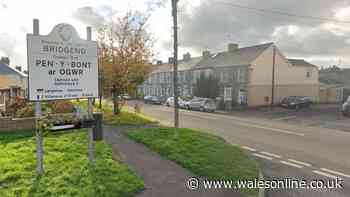 Council approves new control measures in Bridgend in fight against dog mess