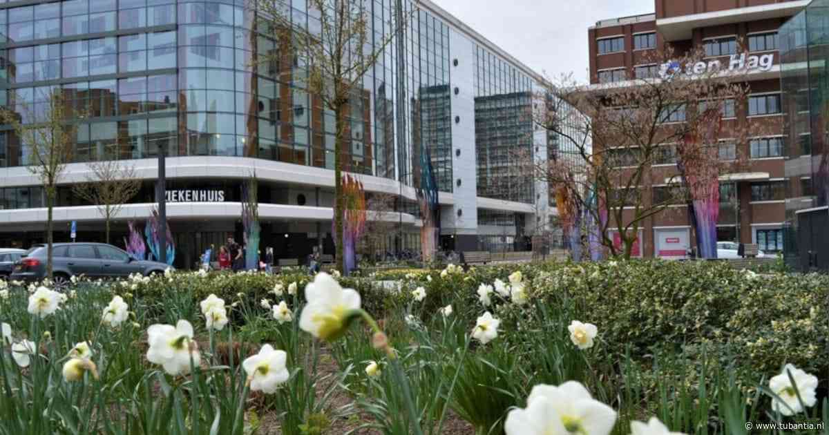 MST behandelt deel verzekerden Zilveren Kruis voorlopig niet: ‘Zorgbudget is niet toereikend’