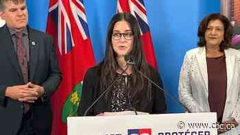 Some Windsor-Essex small businesses to get piece of $49M in tariff relief provincial cash