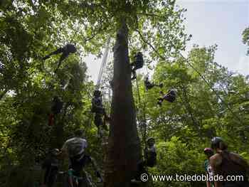 Metroparks Toledo board embraces bat-conservation efforts
