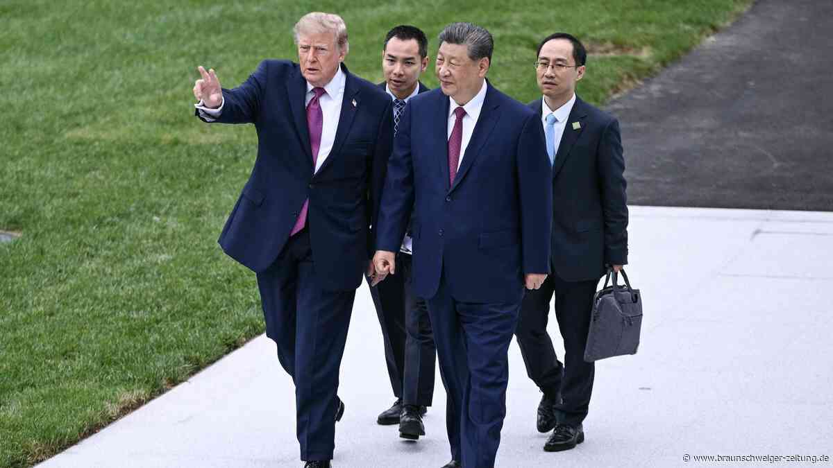 „Panda-Diplomatie“: So nutzt China die putzigen Tiere für Außenpolitik