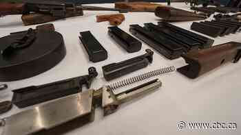 Cottam, Ont., man charged after CBSA seizes 53 firearms in Essex County