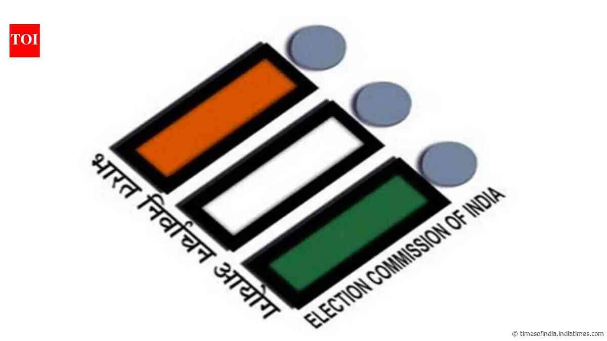 'No eligible elector will be left behind': Goa CEO clarifies on 97 missing voters