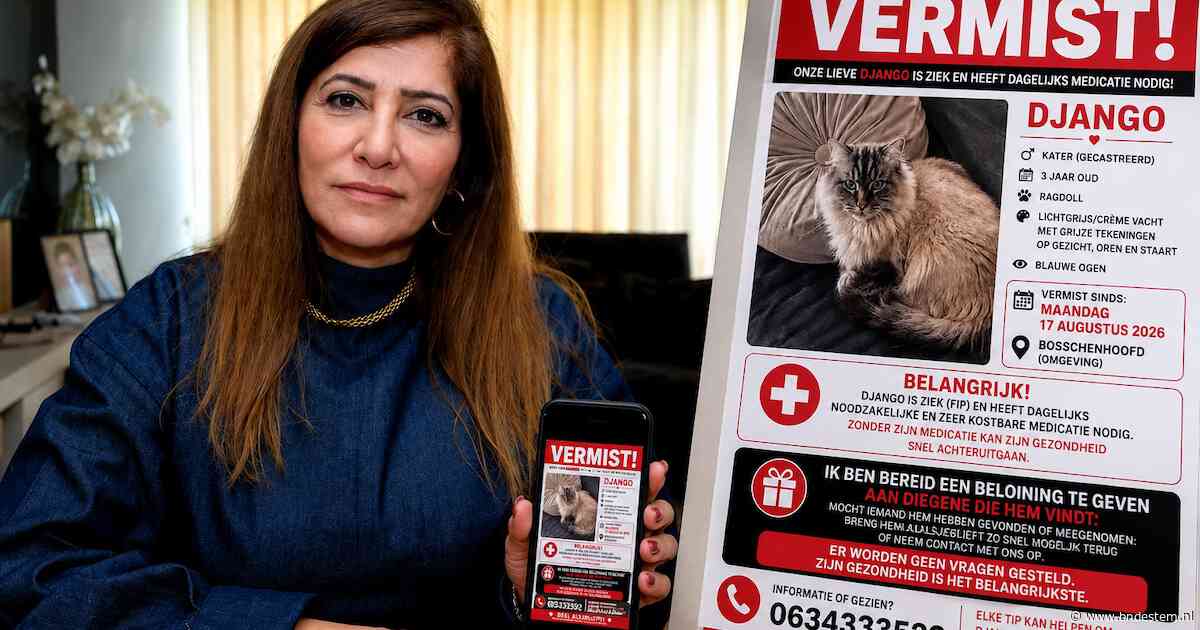 Zeynep looft 1000 euro uit voor verdwenen Django, dan meldt zich een mysterieuze tipgever