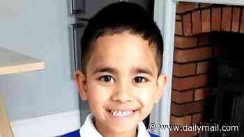 Delivery driver who killed five-year-old boy while taking a short cut through 'no entry sign' is jailed for six years