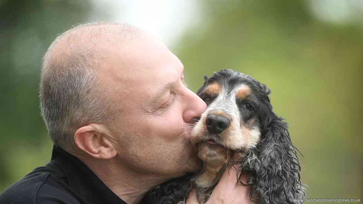 This dog was there when Manchester needed her, now she needs you