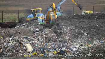 Waste crisis could see councils taking the 'easier solution' and let rubbish pile up on the streets